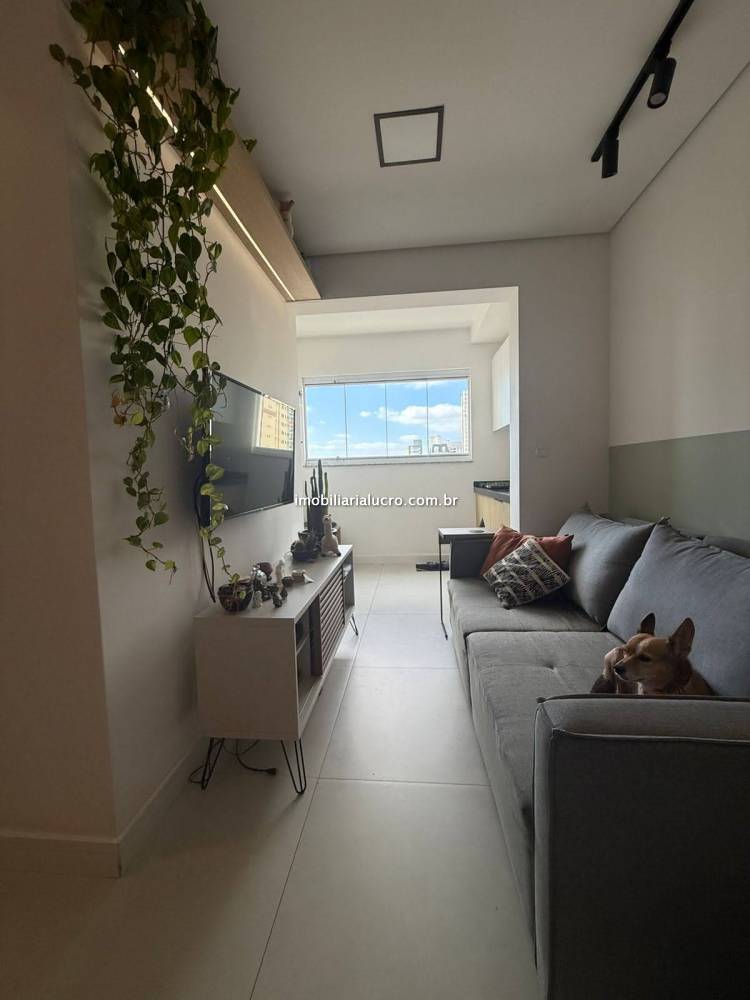 Apartamento à venda na Rua Conselheiro JustinoCampestre - 999-apartamento-campestre-santo-andre-162610-3.jpg