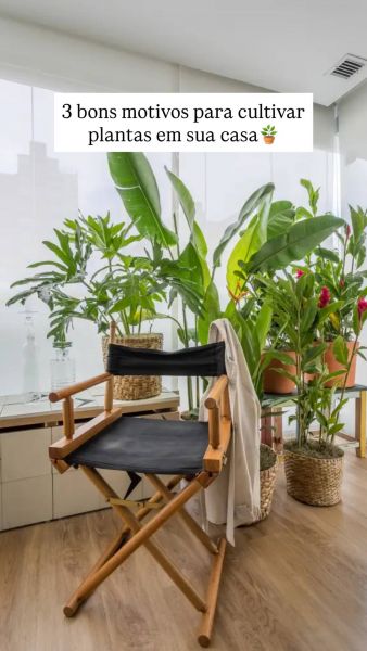 3 Bons motivos para cultivar plantas na sua casa